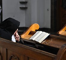 nun by gary roberts