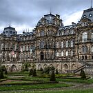 Bowes Museum by Andrew Pounder