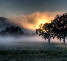 Morning Embers # 2- Jingellic NSW - The HDR Experience by Philip Johnson