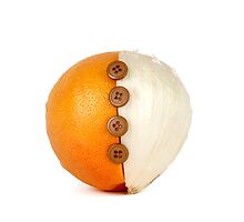 Grapefruit and Onion by caronjess