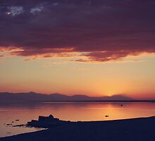Once You Have Found It Never Let It Go by Laurie Search