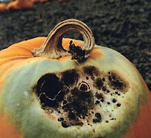 Rotting Halloween Pumpkin by JeffraWPhotos
