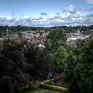 Morpeth View by Andrew Pounder