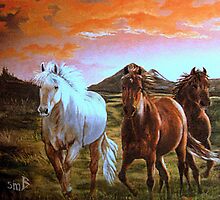 Way Out West by Susan Bergstrom