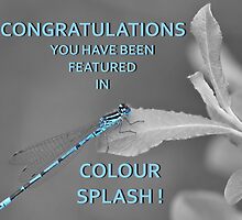 Challenge entry by relayer51