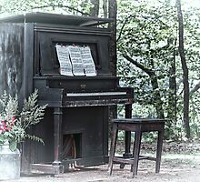 Clair de Lune by Richard Bean