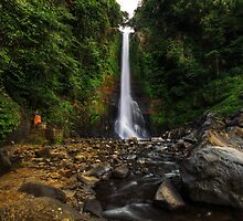 Magic Land IV by Felix Haryanto