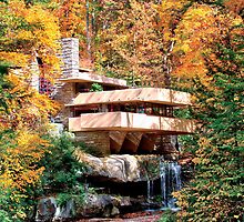 Frank Lloyd Wright Fallingwater by Steve Ivanov
