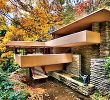 The Art & Architecture of Fallingwater by Steve Ivanov