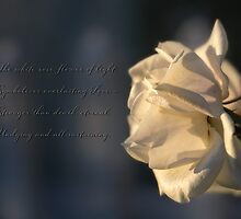 Flower of light by Celeste Mookherjee