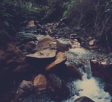 Life Flows On by Laurie Search