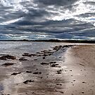 Alnmouth Beach #1 by Andrew Pounder