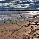 Alnmouth Beach #3 by Andrew Pounder