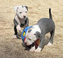 I'll Get You! by Ginny York