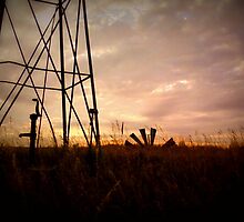 The Tired Well Has No Fans by Kim Taylor