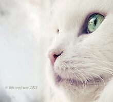 Day Dreamer by ibjennyjenny