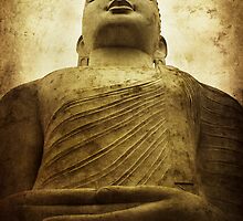 Zen by Andrew Paranavitana