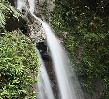Nature is our sole by Mudith Jayasekara