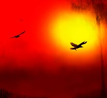 Haiga by Ron C. Moss