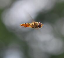 Defying Gravity by relayer51