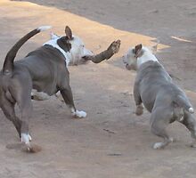 Goin' For It! by Ginny York