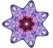 Amethyst Crystal by Ross Hilbert