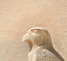 Bird of prey by areyarey