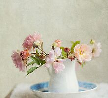 Winter Roses by Jill Ferry