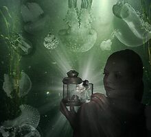 Attraction by Jeff Kingston
