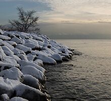 Clearing Snowstorm - Lake Ontario, Toronto, Canada by Georgia Mizuleva