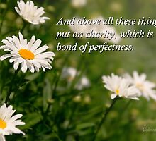 Inspirational - Daisy - Colossians 3-14 by Mike Savad