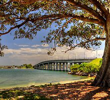 Captain Cook Bridge by Terry Everson