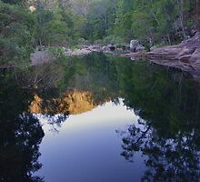Stillness and Reflection by Liz Worth