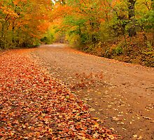 As I walk along Mother natures beauty surrounds me, and holds me deeply within her embrace. by NatureGreeting Cards ©ccwri