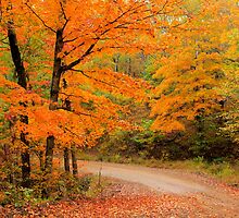 Natures Beauty by NatureGreeting Cards ©ccwri