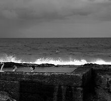 The Rock Pool by Noel Elliot