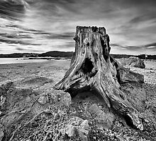Remnants by Peter Denniston