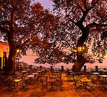 Have a seat in Makrinitsa by Hercules Milas