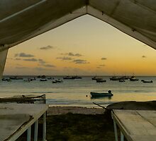 Barbados Fishing Boats by Polly Peacock