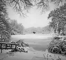 Winter Wonderland by Chris Lord