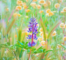 Wildflower Meadow - Spring In Central California by Ram Vasudev