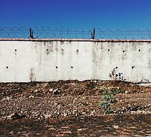Wall With Barbed Wire by visualspectrum
