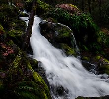 hidden treasure by Jeannie Peters