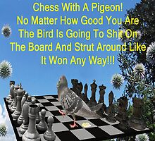 Chess Pigeon by Eric Kempson