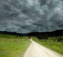 The Road Less Travelled -Sunshine Coast Qld Australia by Beth Wode