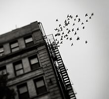 Twentyseven thoughts above my head. by marcomartinelli
