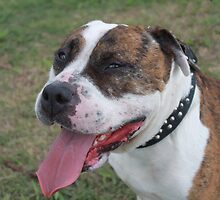 Big and Beautiful by Vicki Childs