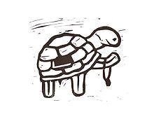 Tortoise wins the race by BronwinDoodles