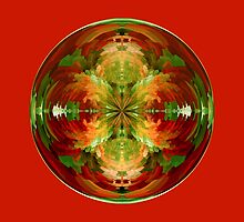 Amazed on red by Robert Gipson