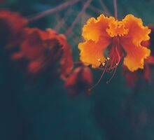a welcome distraction by tara romasanta